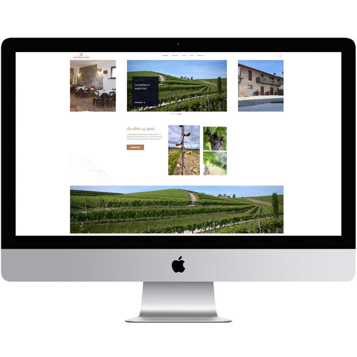 Nuovo sito web online! Nuovo sito web online!